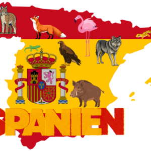 spanien bild